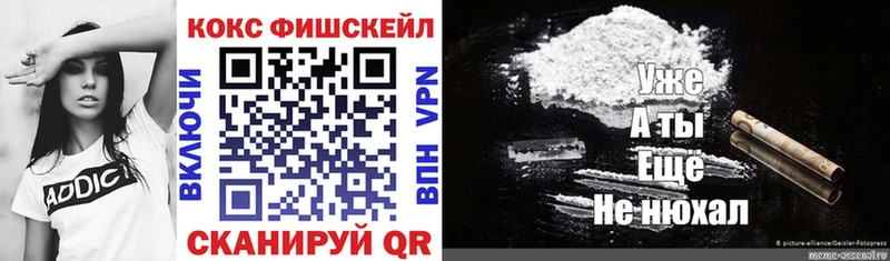 Купить  Завитинск  Кокаин Fish Scale 