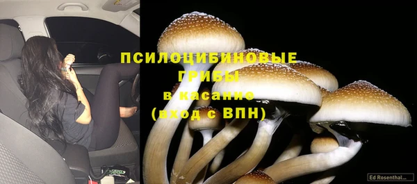 прущая мука Кулебаки