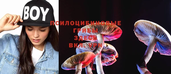 дурь Куйбышев