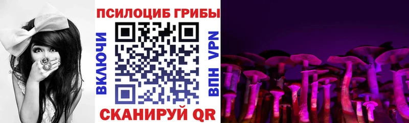 Галлюциногенные грибы Magic Shrooms  Купить закладки  Завитинск 